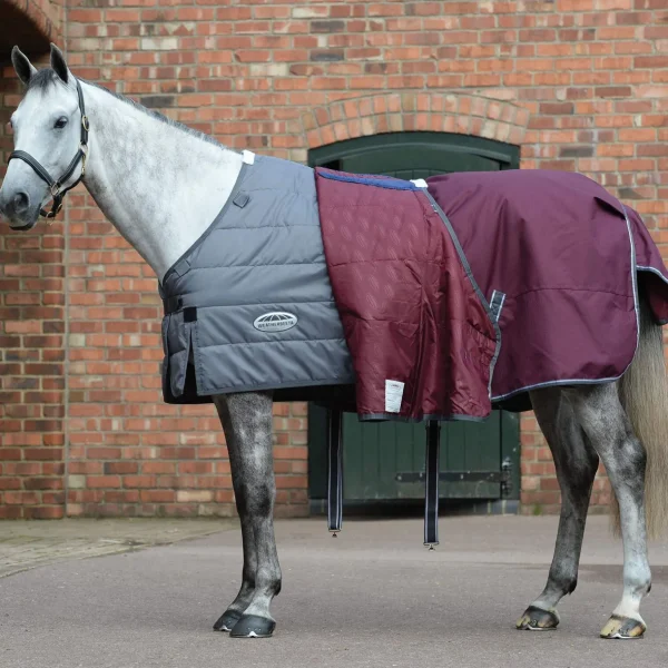 Weatherbeeta Comfitec Plus Dynamic II Turnout Rug, 100g