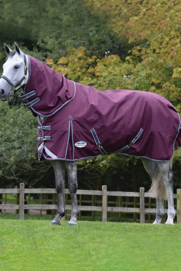 Weatherbeeta Comfitec Plus Dynamic II Detach-a-Neck Heavy Turnout Rug, 360g