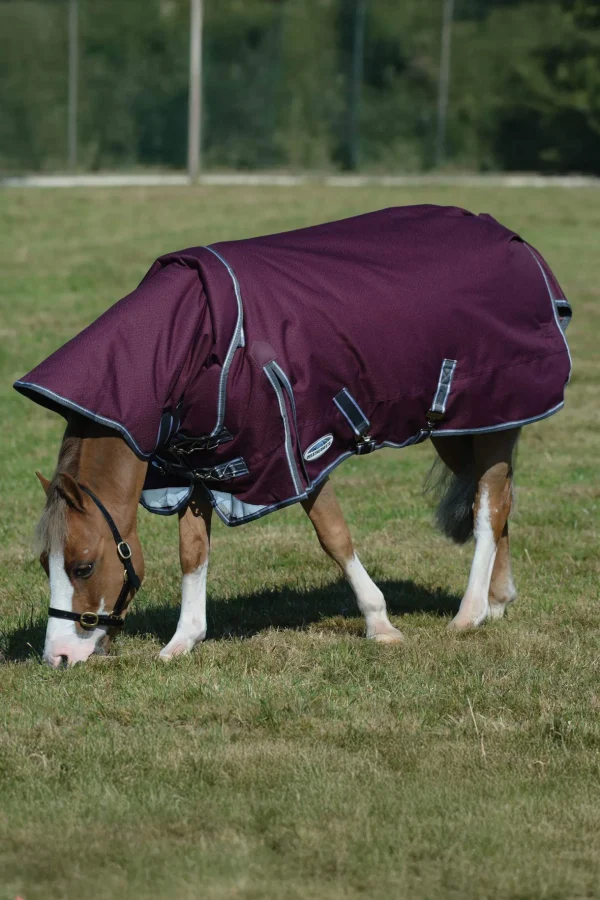 Weatherbeeta Comfitec Plus Dynamic II Turnout Rug With Detachable Neck, 100g