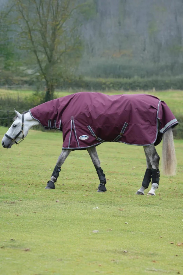 Weatherbeeta Comfitec Plus Dynamic II Turnout Rug With Fixed Neck, 100g