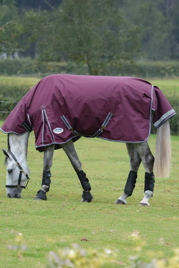 Weatherbeeta Comfitec Plus Dynamic II Turnout Rug With Fixed Neck, 100g