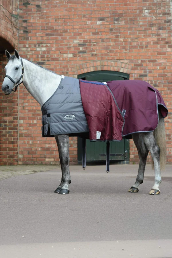 Weatherbeeta Comfitec Plus Dynamic II Turnout Rug With Detachable Neck, 100g