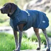 Weatherbeeta Explorer Medium Dog Coat