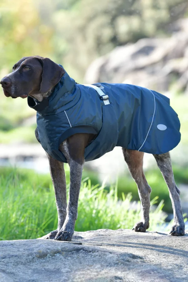 Weatherbeeta Explorer Medium Dog Coat