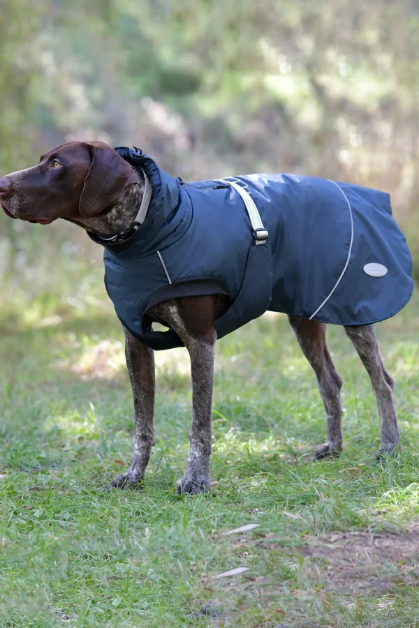 Weatherbeeta Explorer Medium Dog Coat