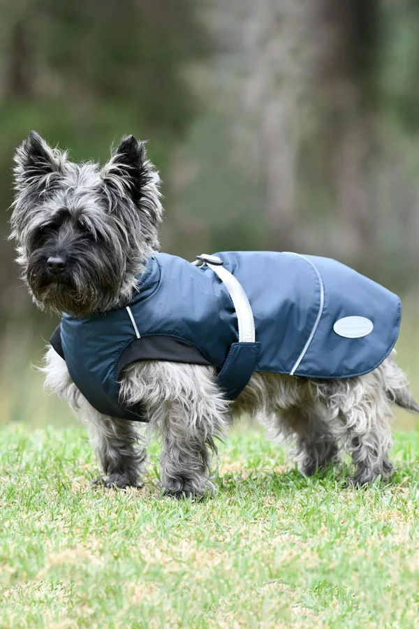 Weatherbeeta Explorer Medium Dog Coat