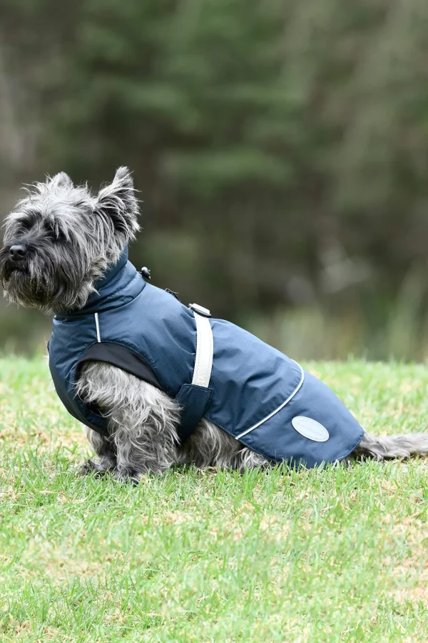 Weatherbeeta Explorer Medium Dog Coat