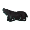 Weatherbeeta Green-tec 900D Combo Neck Lite Plus Turnout  Rug, 50g