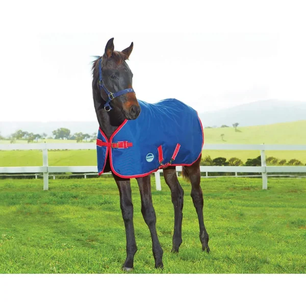 Weatherbeeta Original Foal Rug, 220g